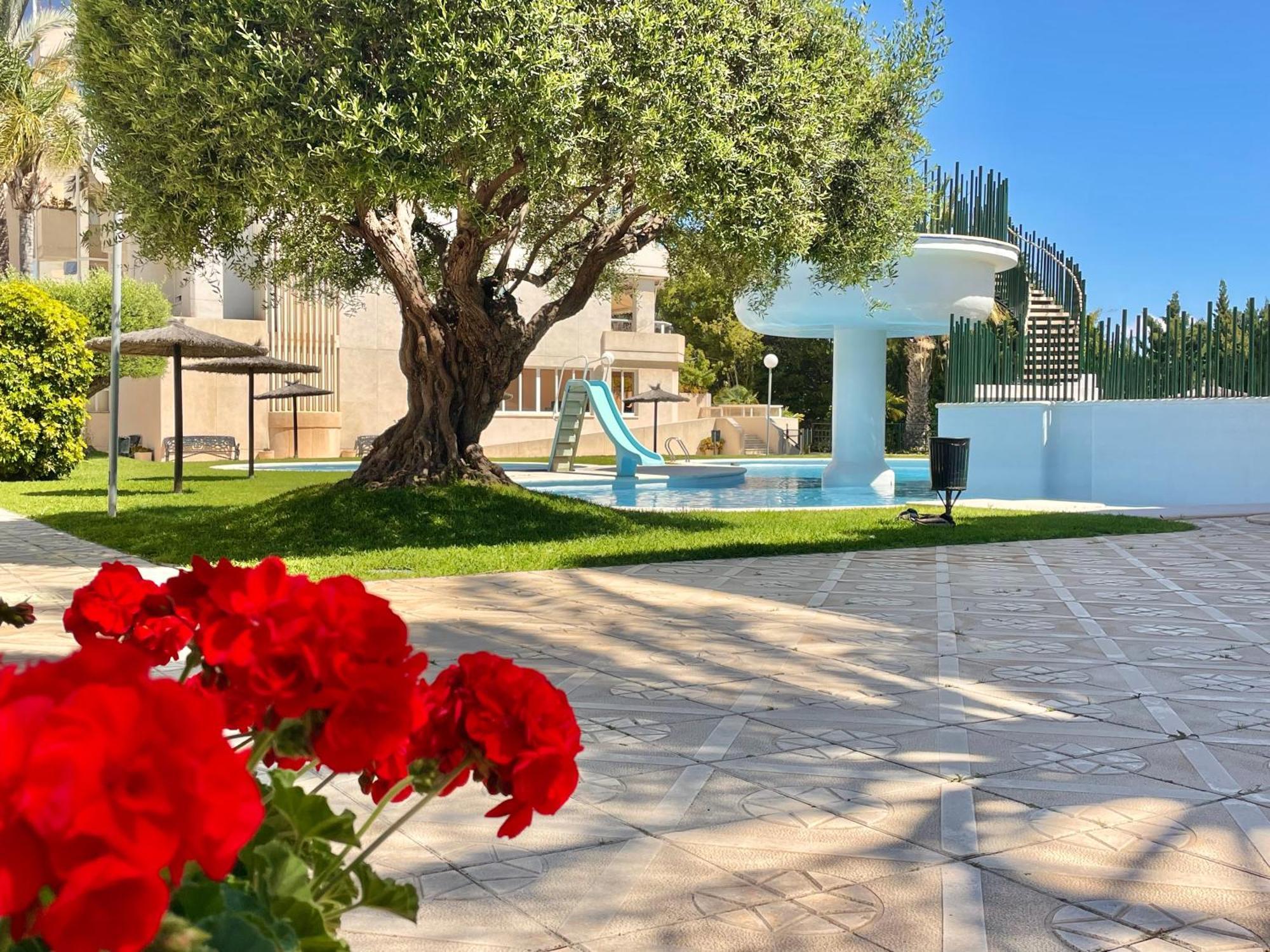 דירות אליקאנטה Large Relaxed Terrace, Golf Views מראה חיצוני תמונה